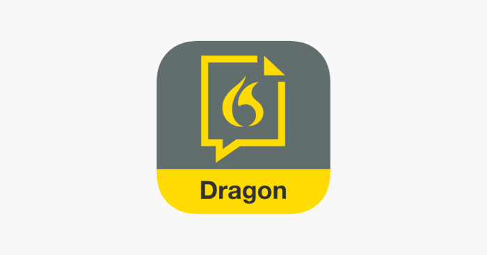 Nuance dragon anywhere mobile