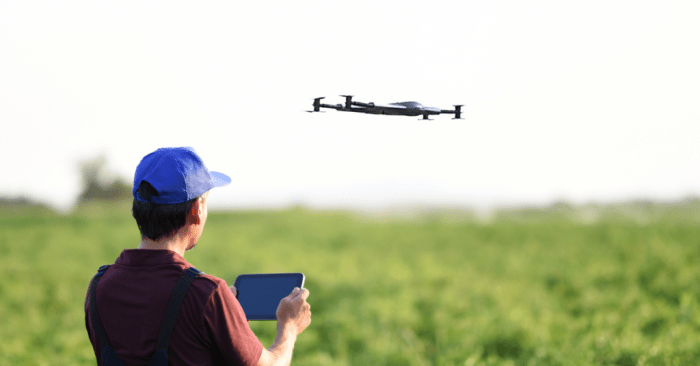 Study swans stable drone cameras