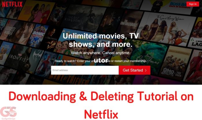 Netflix has no plans to remove windows apps