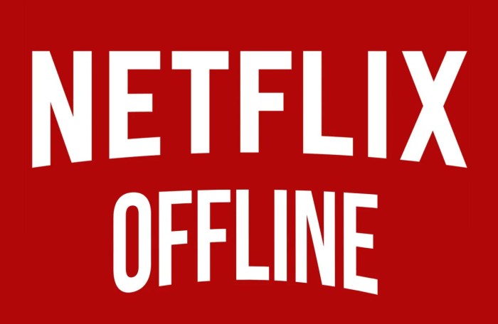 Netflix offline viewing coming soon