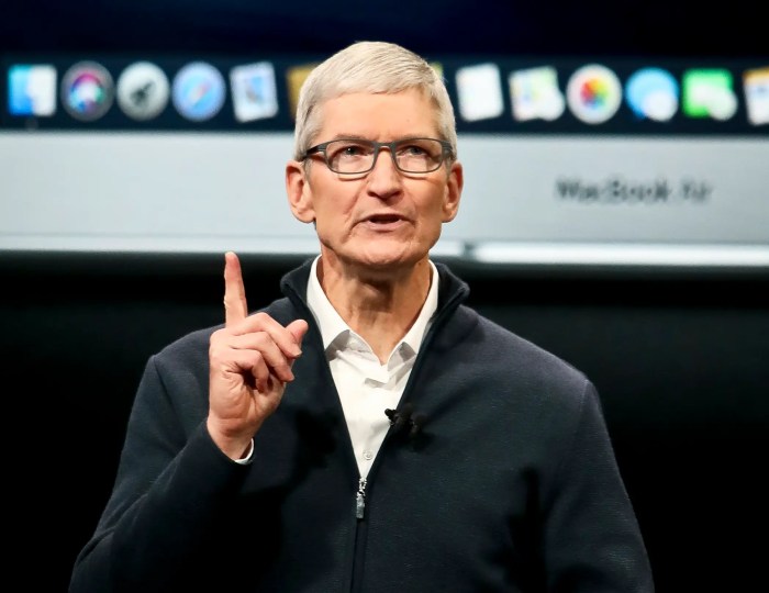 Tim cook reassures investors about china growth as panic grips stock market