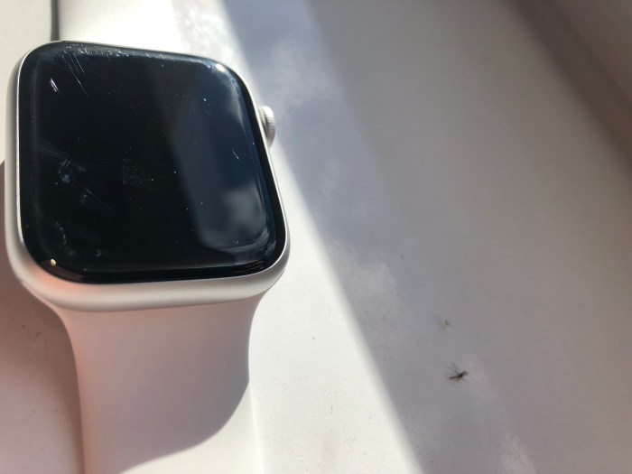 Space grey apple watch chipping