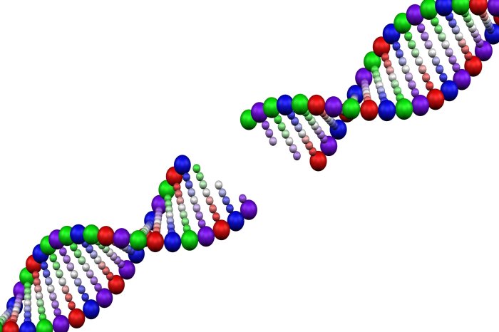 Dna capable of storing memory for 2000 years