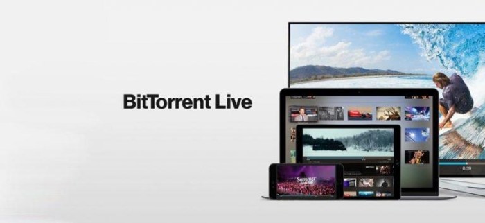 Bittorrent reportedly launching live streaming tv news channel