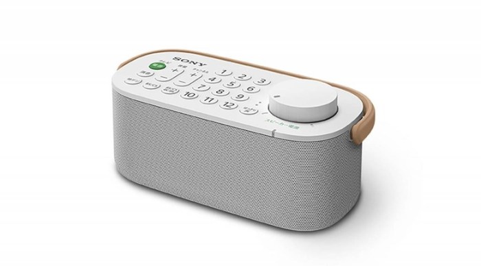 Sony japan tv remote speaker combo