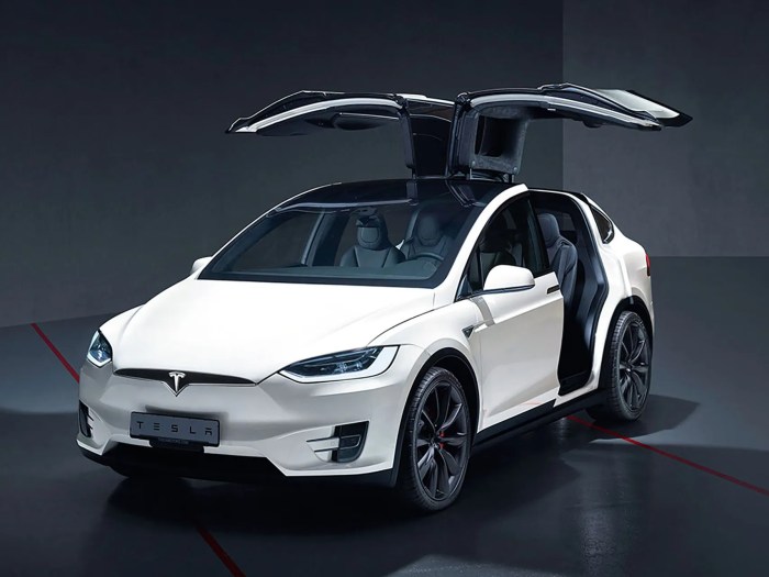 Tesla introduces cheaper model x